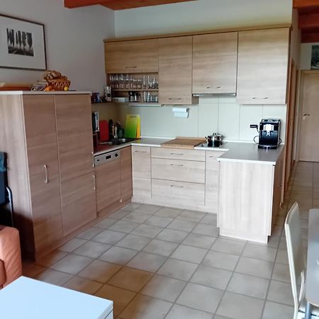Apartman Lipno A12 Lipno nad Vltavou Kültér fotó