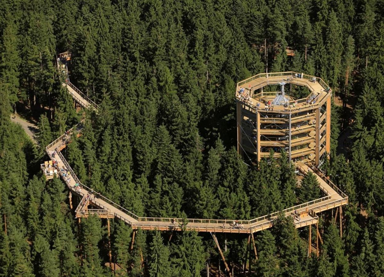 Apartman Lipno A12 Lipno nad Vltavou Kültér fotó